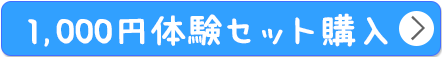 公式サイト