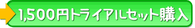 公式サイト