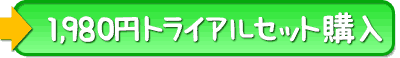 公式サイト