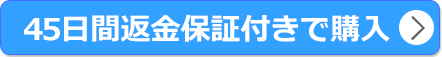 公式サイト