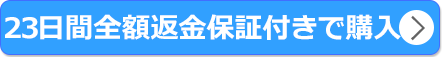 公式サイト